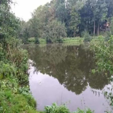 Gemuetlicher In Nahe Dem