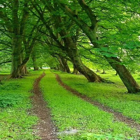 בית נופש Gemuetlicher In Nahe Dem